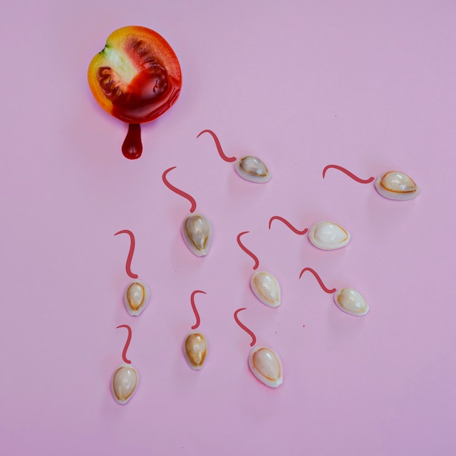 Does Boric Acid Kill Sperm? – 5 Important Truths