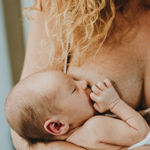 Colostrum Harvesting – 11 Essential Things You Should Know for a Healthy Start