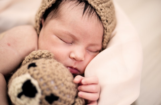 pexels georgia maciel 2168845