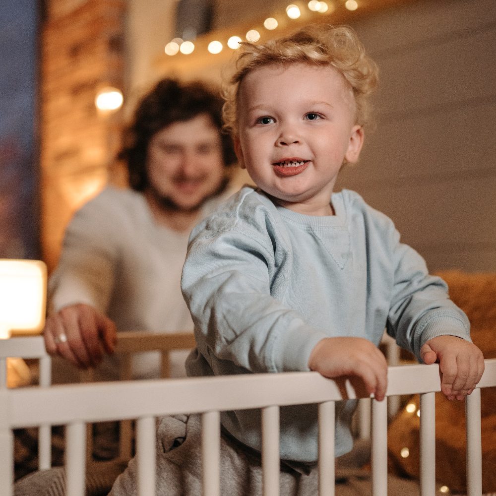 Best Bed Rails - 7 Top Picks For Co-Sleeping 1 Best Bed Rails