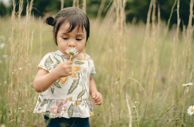 sanity-saving toddler boundaries